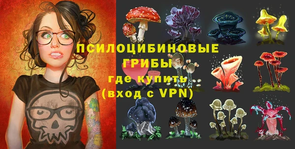 прущий лед Горняк