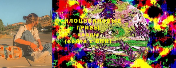 ПСИЛОЦИБИНОВЫЕ ГРИБЫ Гусев
