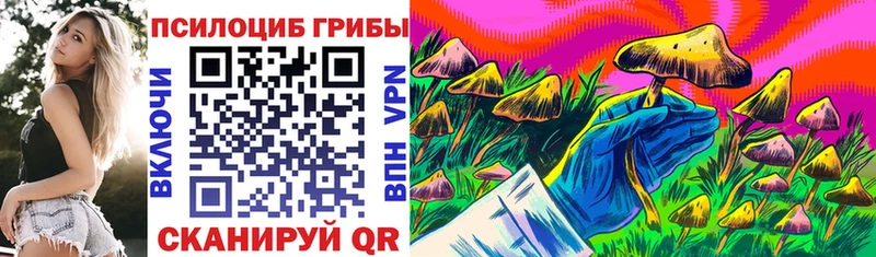 Купить  Котельники  Галлюциногенные грибы Psilocybine cubensis 